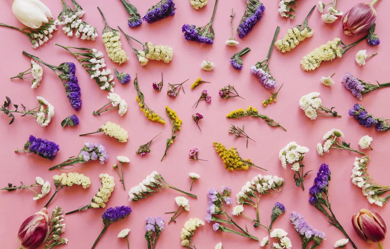 Photo wallpaper flowers, background, spring, pink, flowers, background, spring