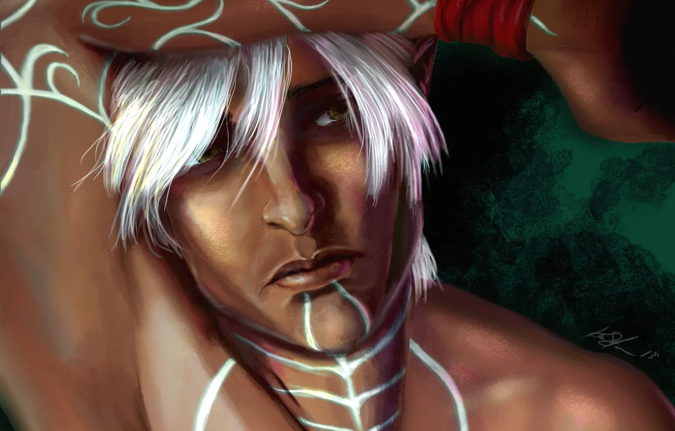 Photo wallpaper sadness, elf, art, guy, Dragon Age 2, Fenris
