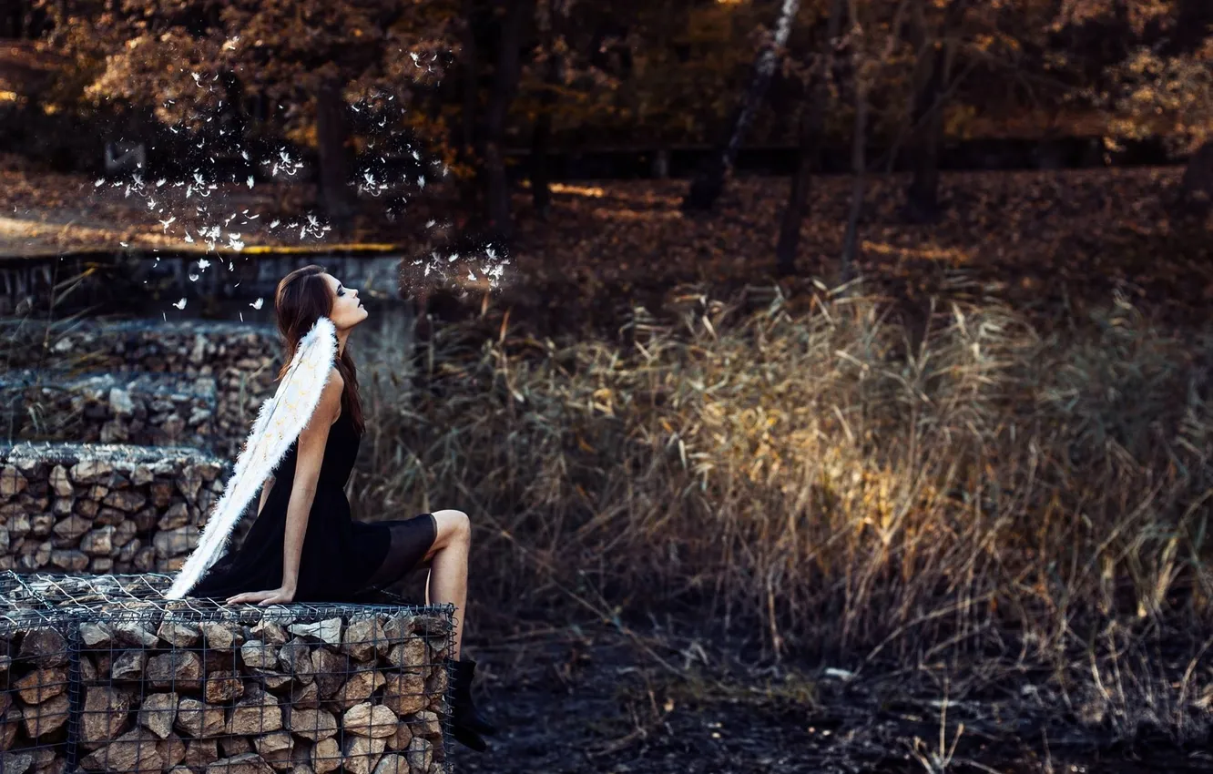 Photo wallpaper girl, stones, wings, angel
