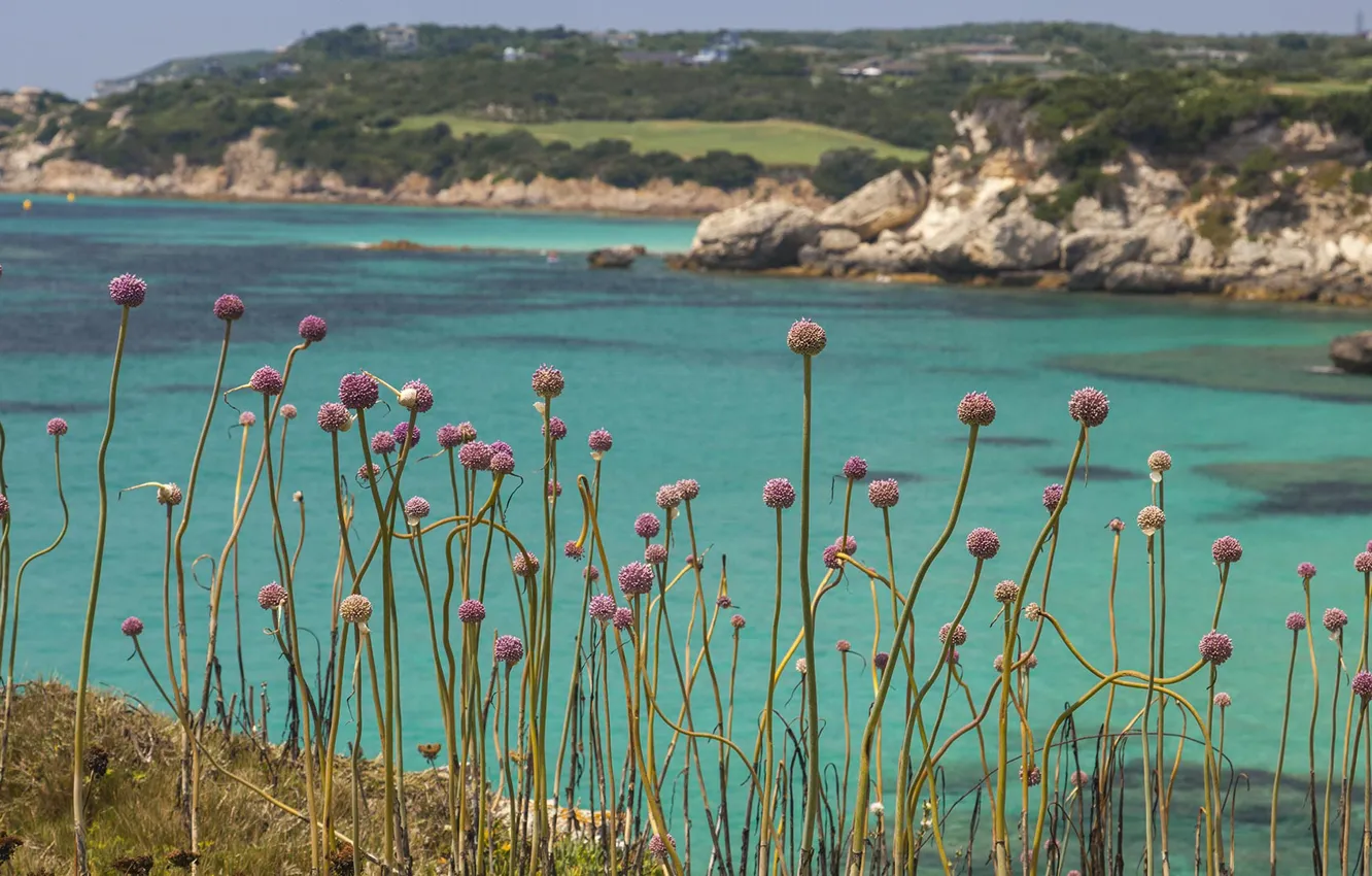 Photo wallpaper sea, rocks, France, plant, bow, Corsica, Bonifacio