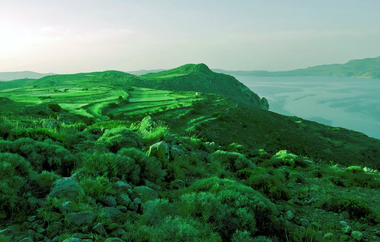 Photo wallpaper mountains, lake, vegetation, meadow