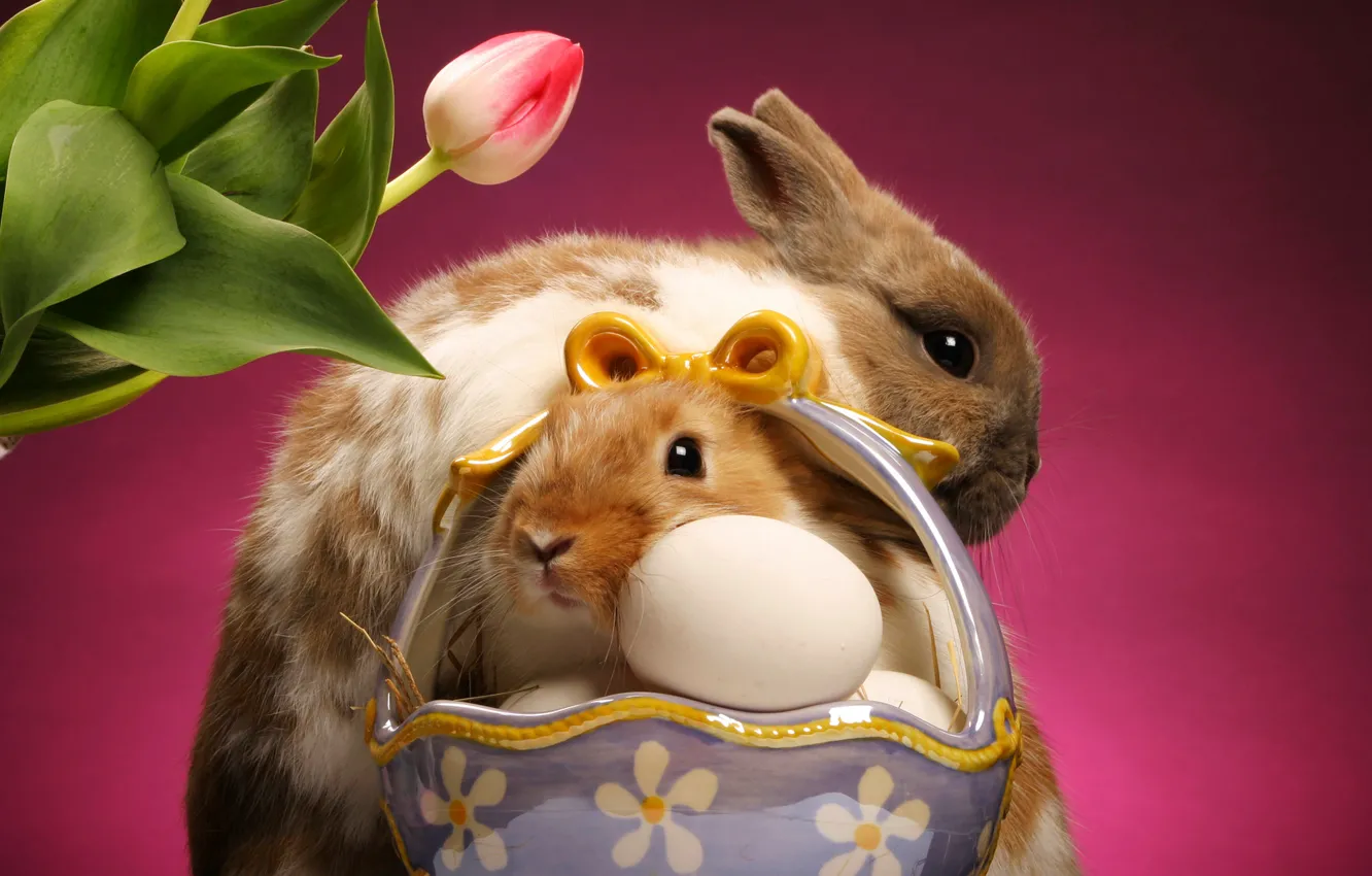 Photo wallpaper Tulip, eggs, rabbits, basket