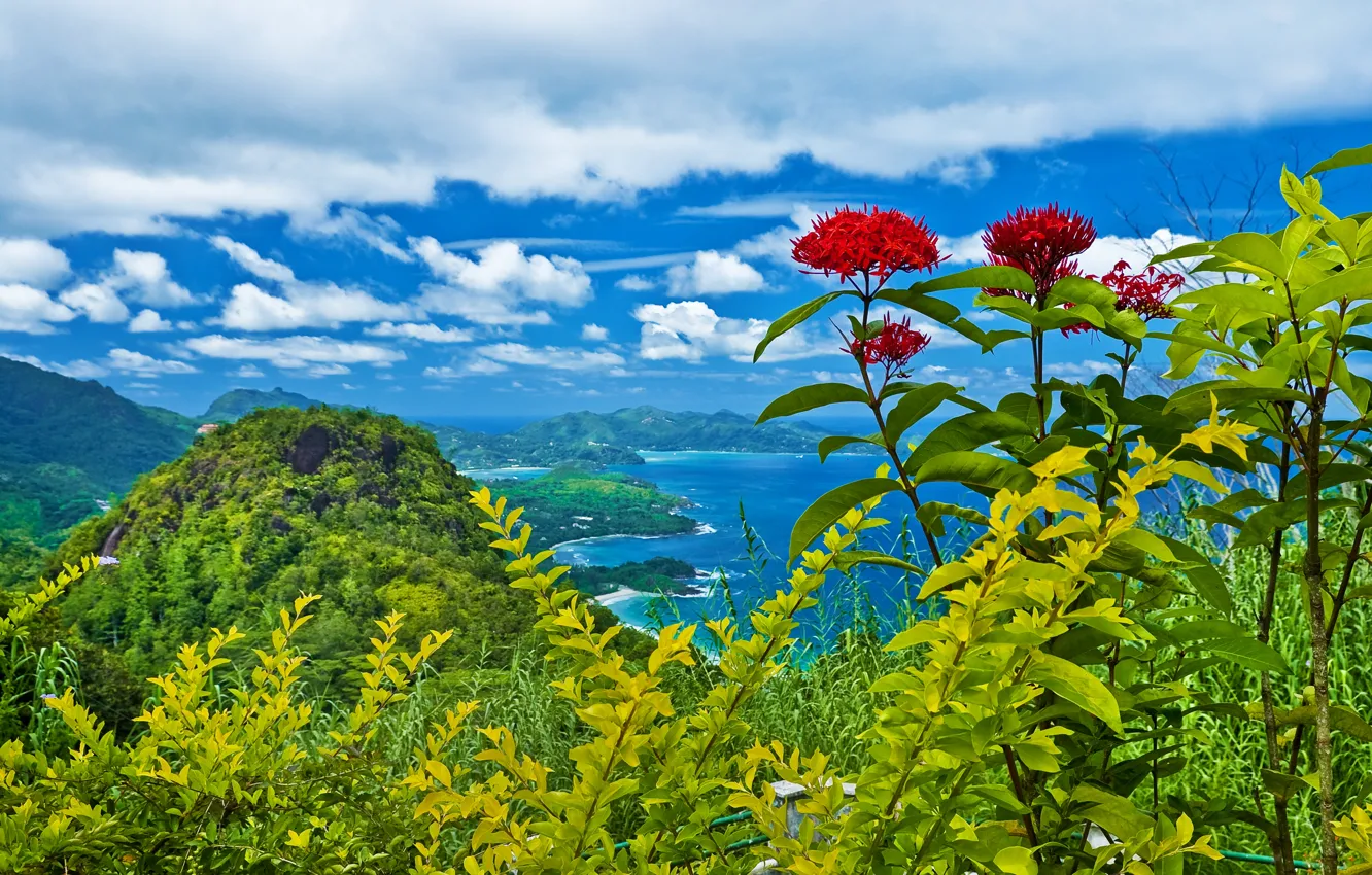 Photo wallpaper clouds, trees, landscape, flowers, mountains, nature, shrubs