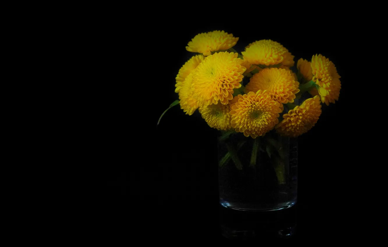 Photo wallpaper flowers, glass, bouquet, yellow, black background, chrysanthemum, composition