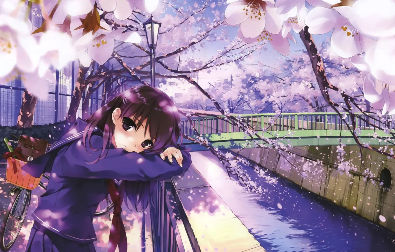 Photo wallpaper bridge, bike, river, spring, fence, petals, Japan, Sakura