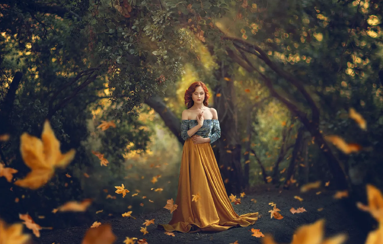 Photo wallpaper leaves, girl, nature, pose, Park, red, Jessica Drossin
