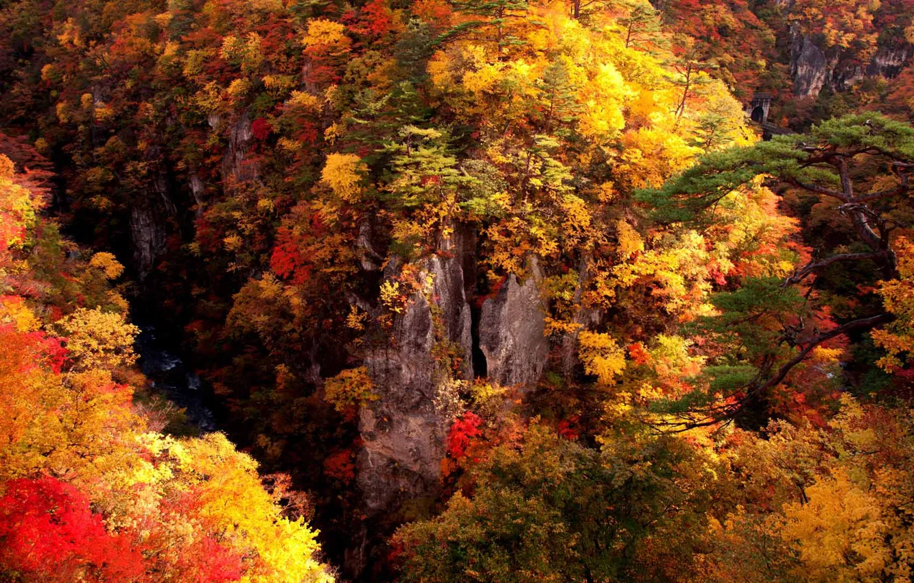 Photo wallpaper autumn, forest, rocks, Osaka, Miyagi