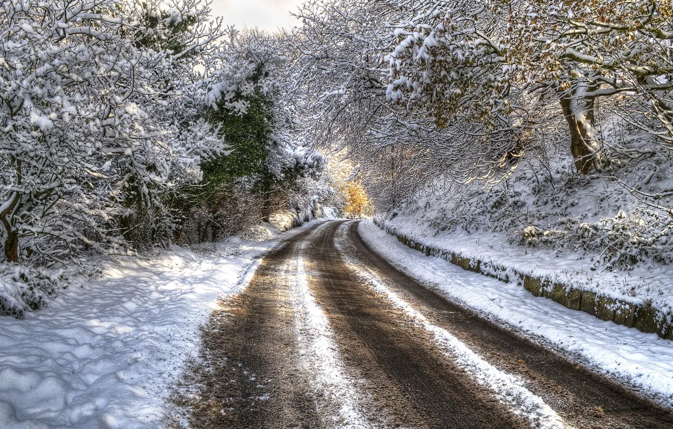 Photo wallpaper winter, road, snow, trees, HDR, trees, winter