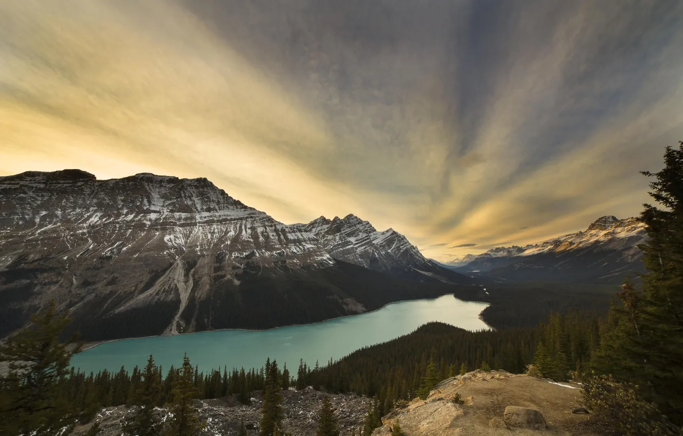 Photo wallpaper forest, nature, lake, mountain, lake, canada, national park, banff