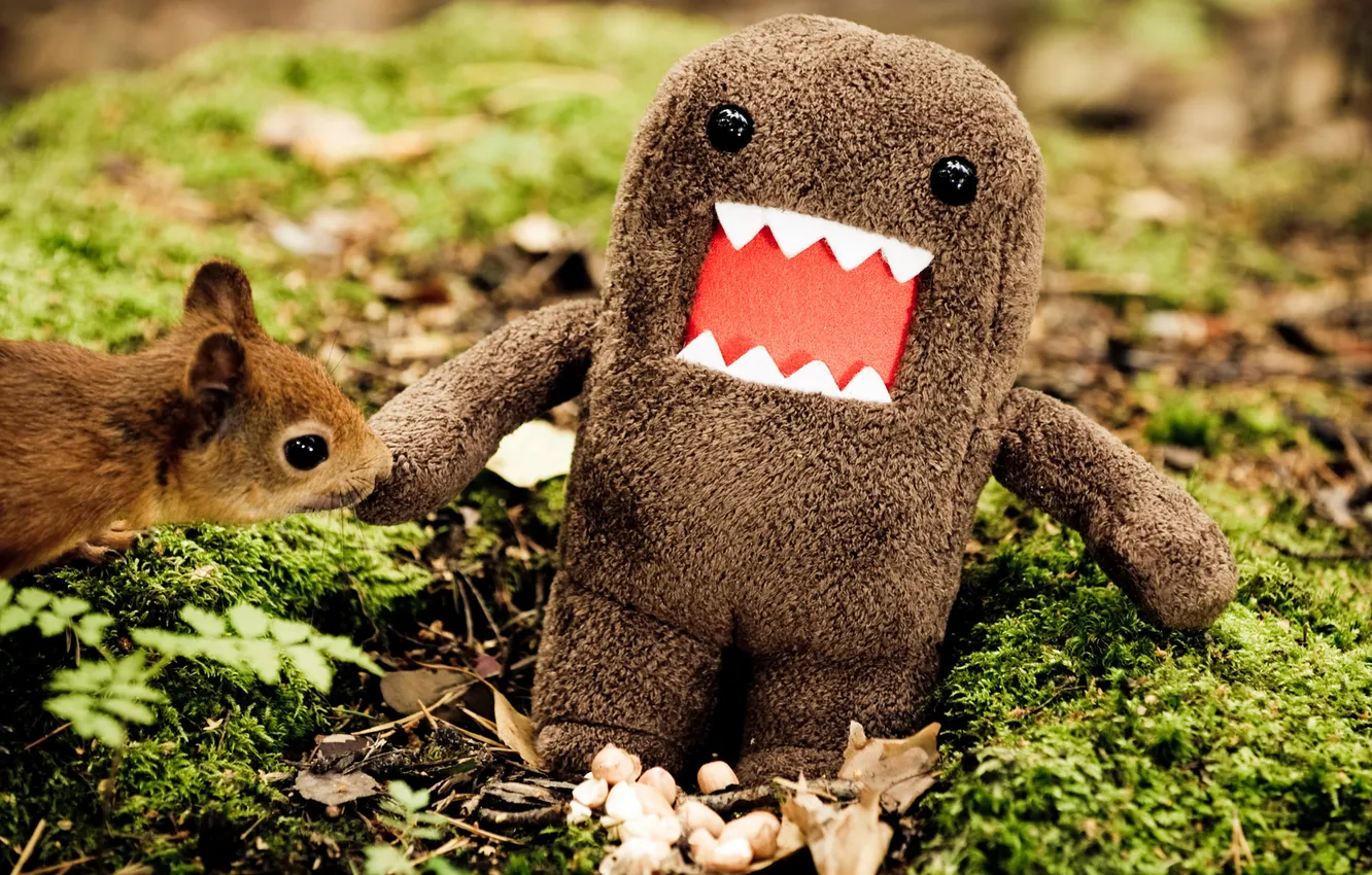 Photo wallpaper forest, toy, protein, Lovely black bomb shell crump, Domokun, domain