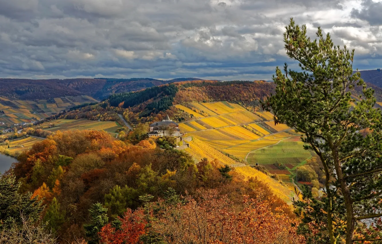 Photo wallpaper field, autumn, forest, clouds, trees, mountains, river, home