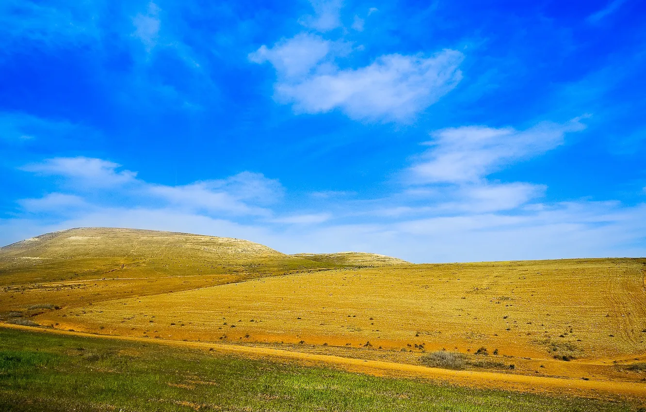 Photo wallpaper field, the sky, grass, clouds, hills