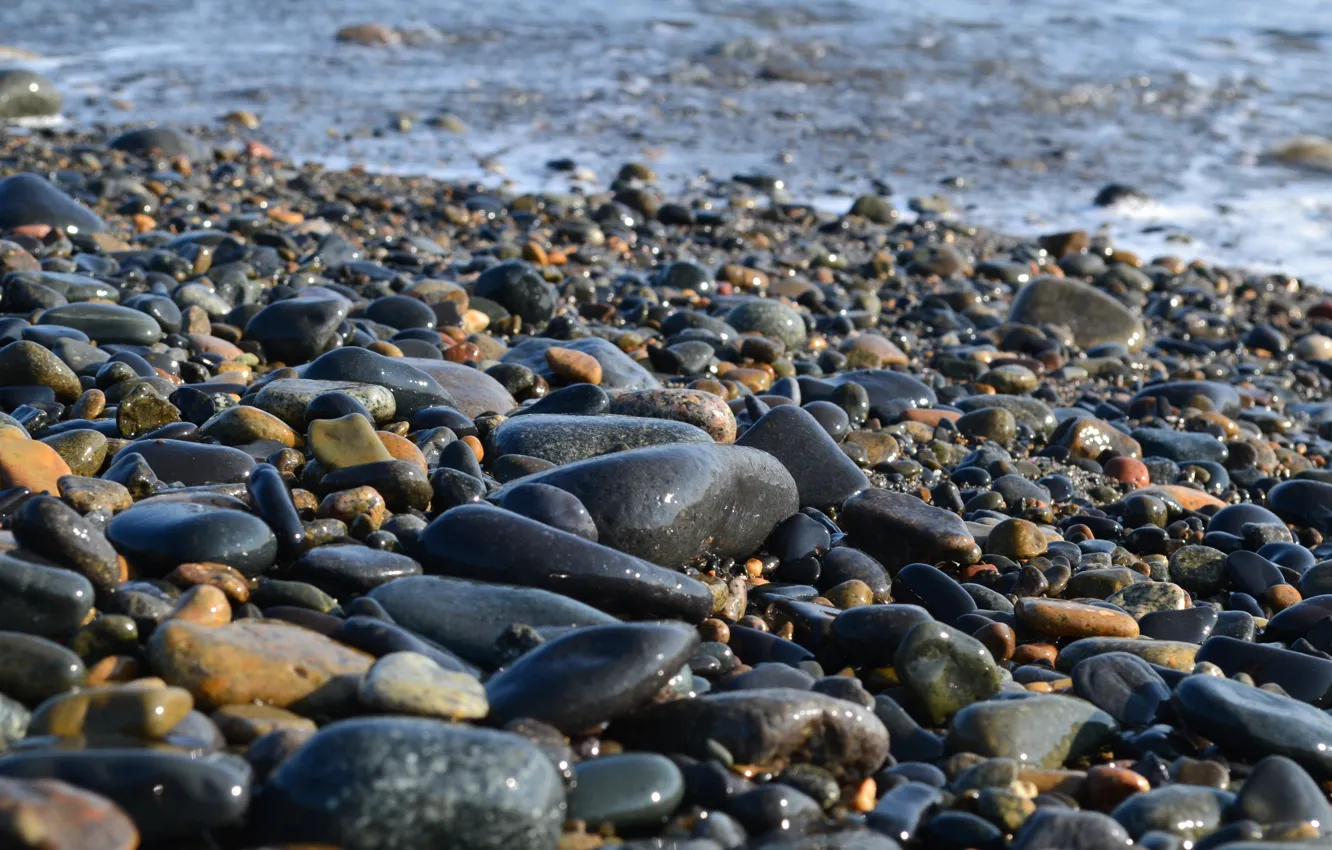 Photo wallpaper sea, stones, The sea of Okhotsk