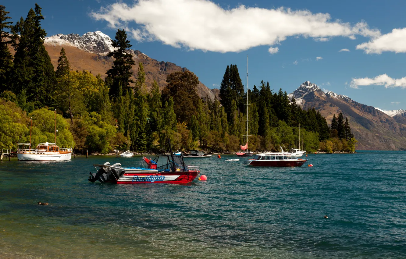 Photo wallpaper forest, mountains, lake, shore, yachts, boats, New Zealand, boats