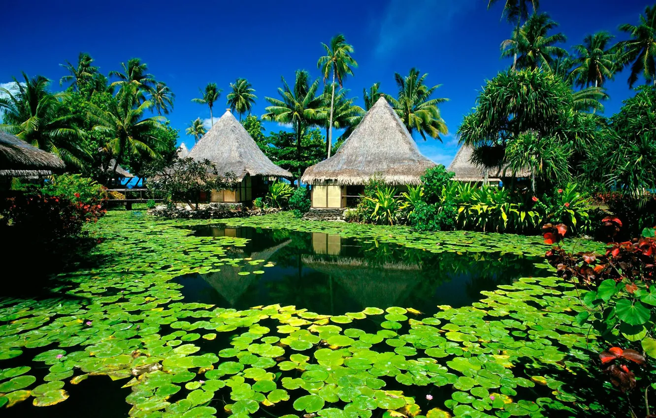 Photo wallpaper summer, the sun, lake, palm trees, Island, hut, resort, water lilies