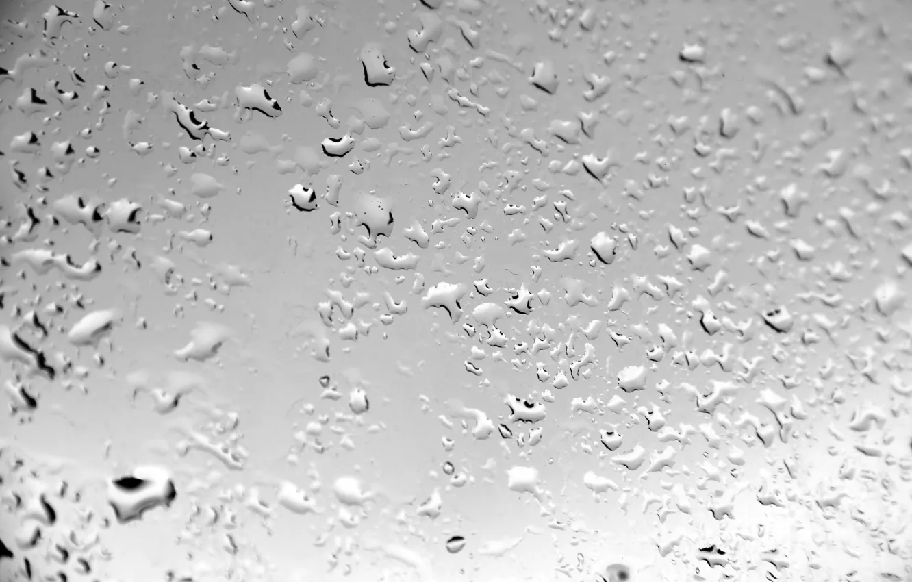 Photo wallpaper water, drops, background, texture, wet