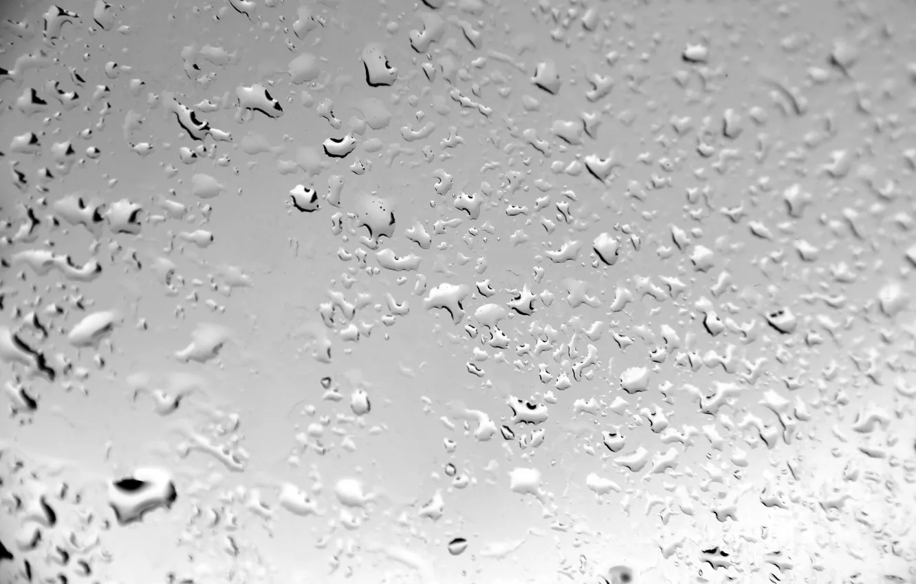 Photo wallpaper water, drops, background, wet, texture