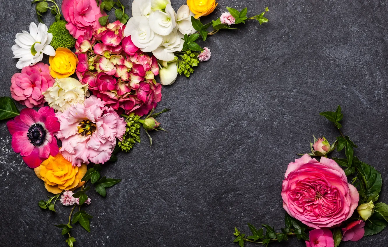 Photo wallpaper flowers, background, decor, composition