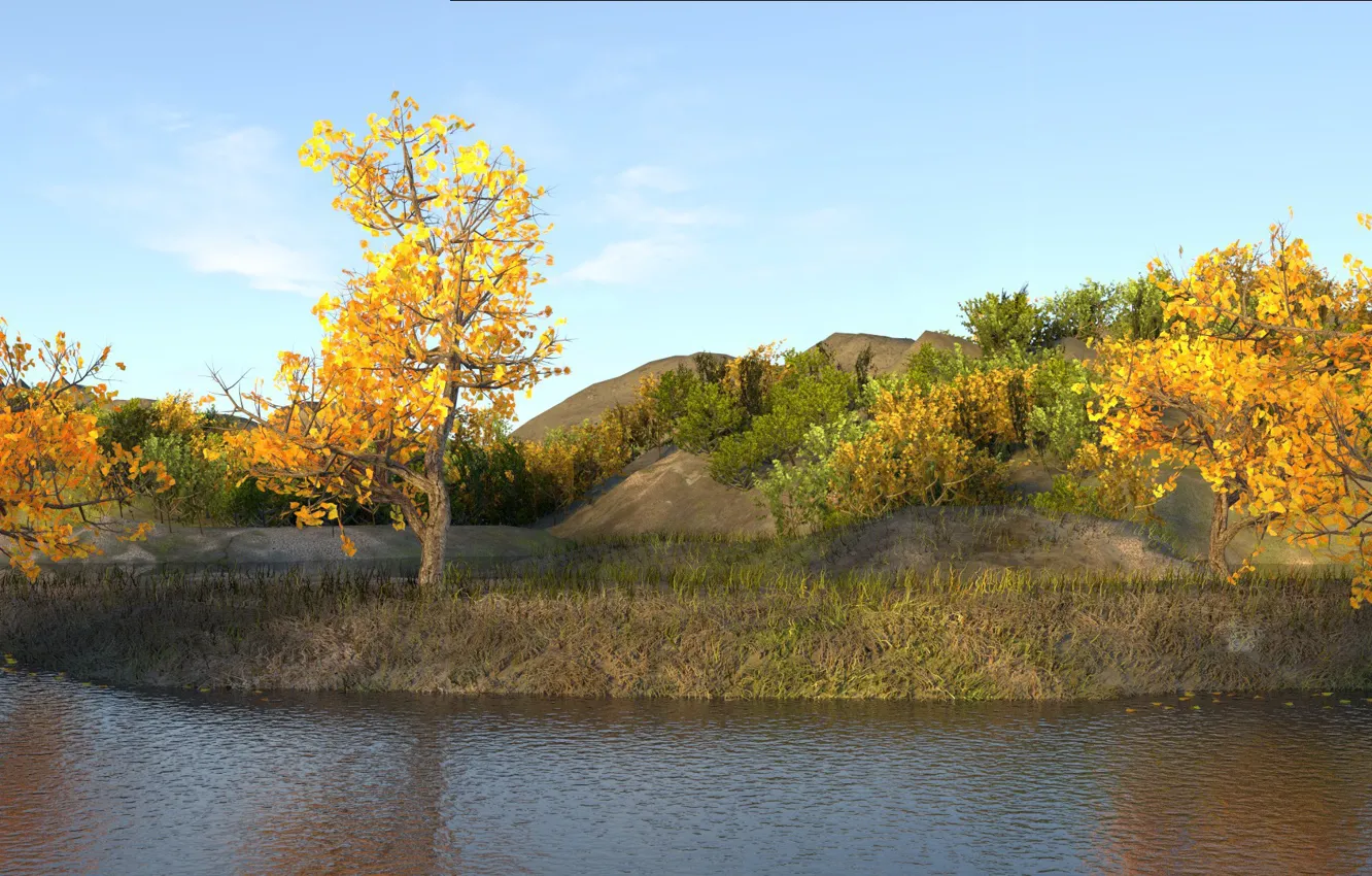 Photo wallpaper autumn, grass, trees, yellow, Pond, brown