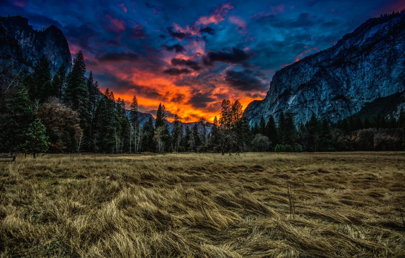 Photo wallpaper grass, clouds, trees, sunset, mountains, nature, meadow, CA