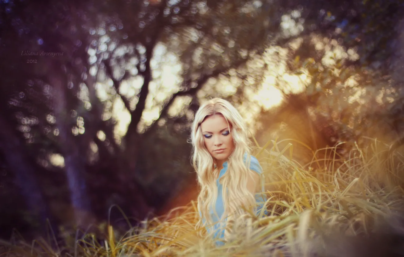 Photo wallpaper grass, girl, blonde, bokeh, long-haired