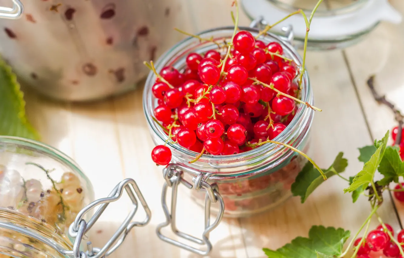 Photo wallpaper glass, leaves, branches, red, berries, table, Board, Bank