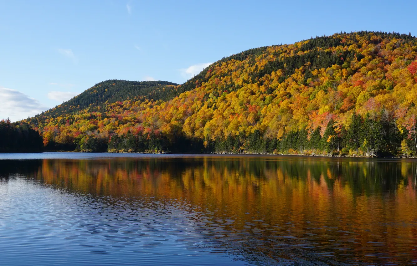 Photo wallpaper autumn, forest, mountains, river