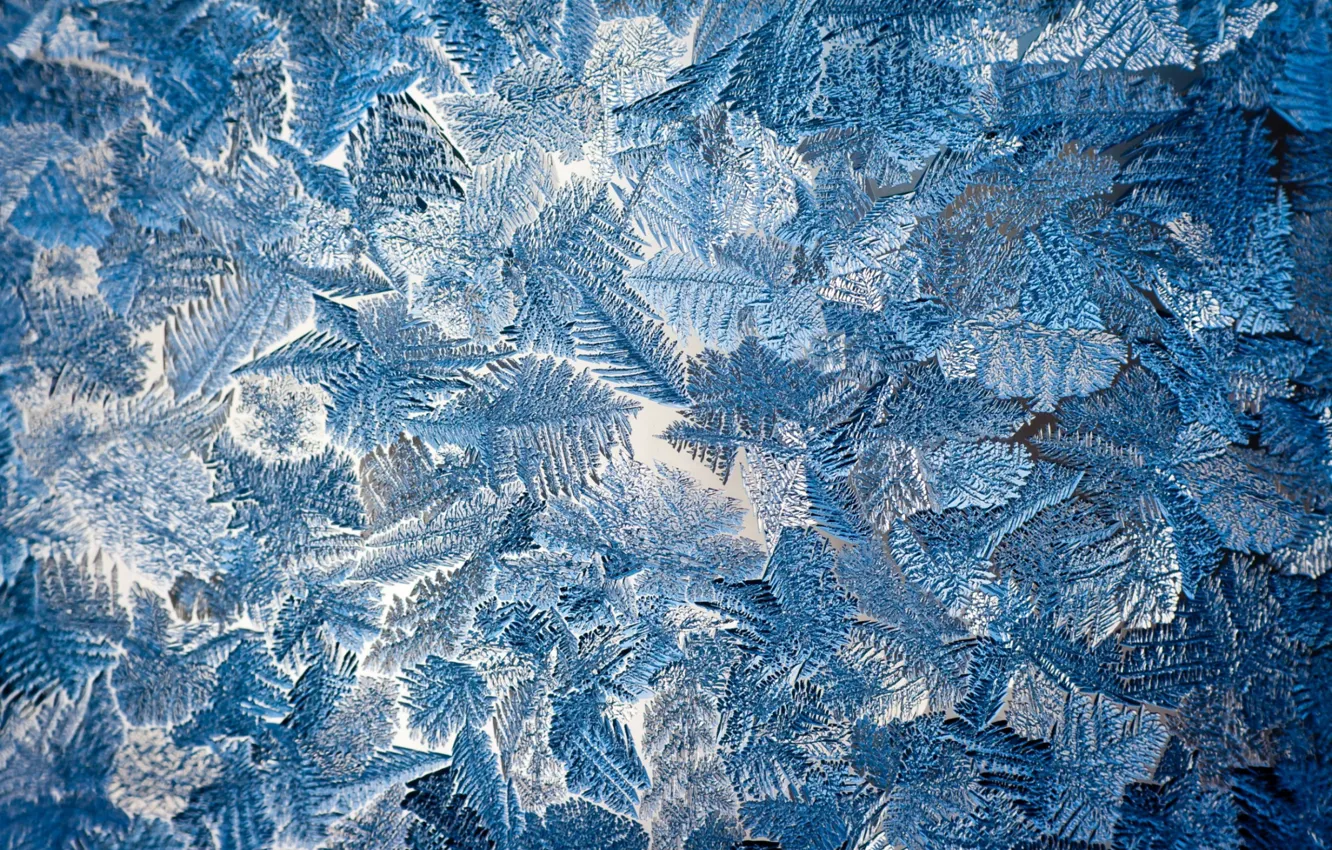 Photo wallpaper cold, winter, pattern, window, frost