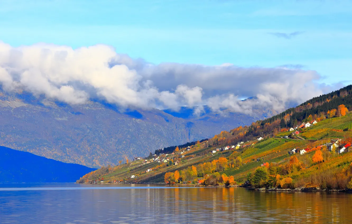 Photo wallpaper autumn, forest, the sky, clouds, trees, landscape, mountains, yellow