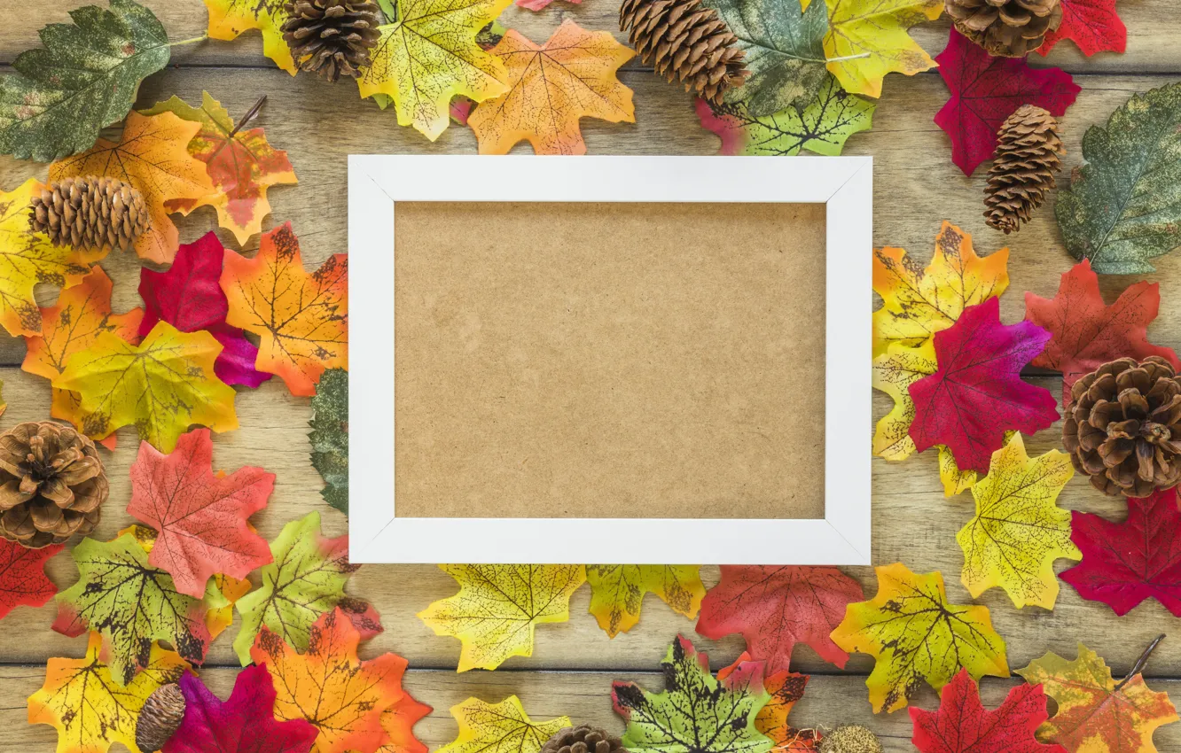 Photo wallpaper autumn, leaves, background, tree, frame, colorful, maple, wood