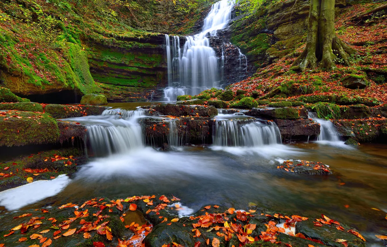 Photo wallpaper autumn, forest, nature, river, waterfall