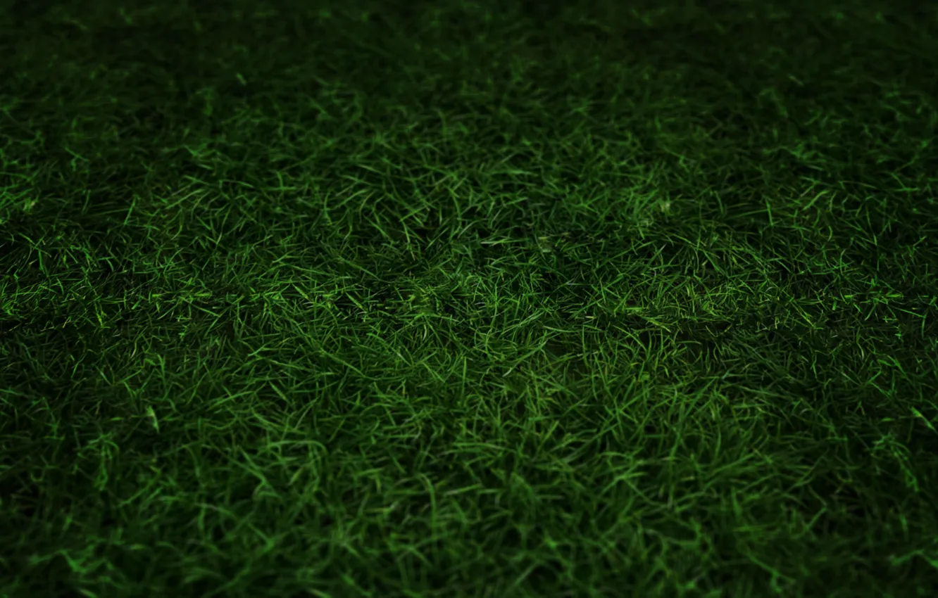 Photo wallpaper grass, nature, darkness, tone, blackout, computer graphics