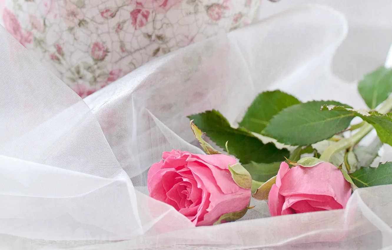 Photo wallpaper roses, Pink, Roses