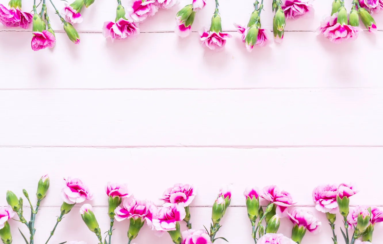 Photo wallpaper background, bouquet, pink, clove