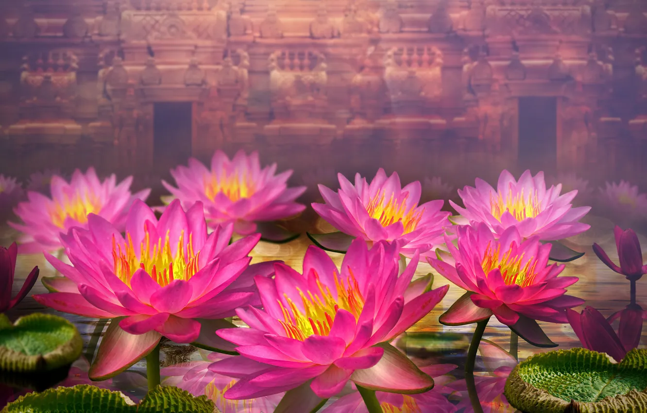 Photo wallpaper leaves, flowers, dal, water lilies, wall