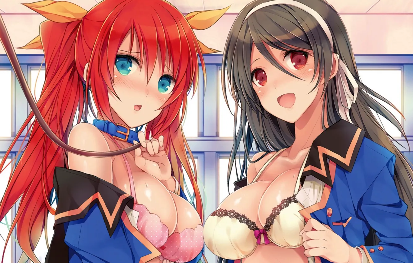 Photo wallpaper girl, sexy, lingerie, bra, cleavage, long hair, boobs, anime