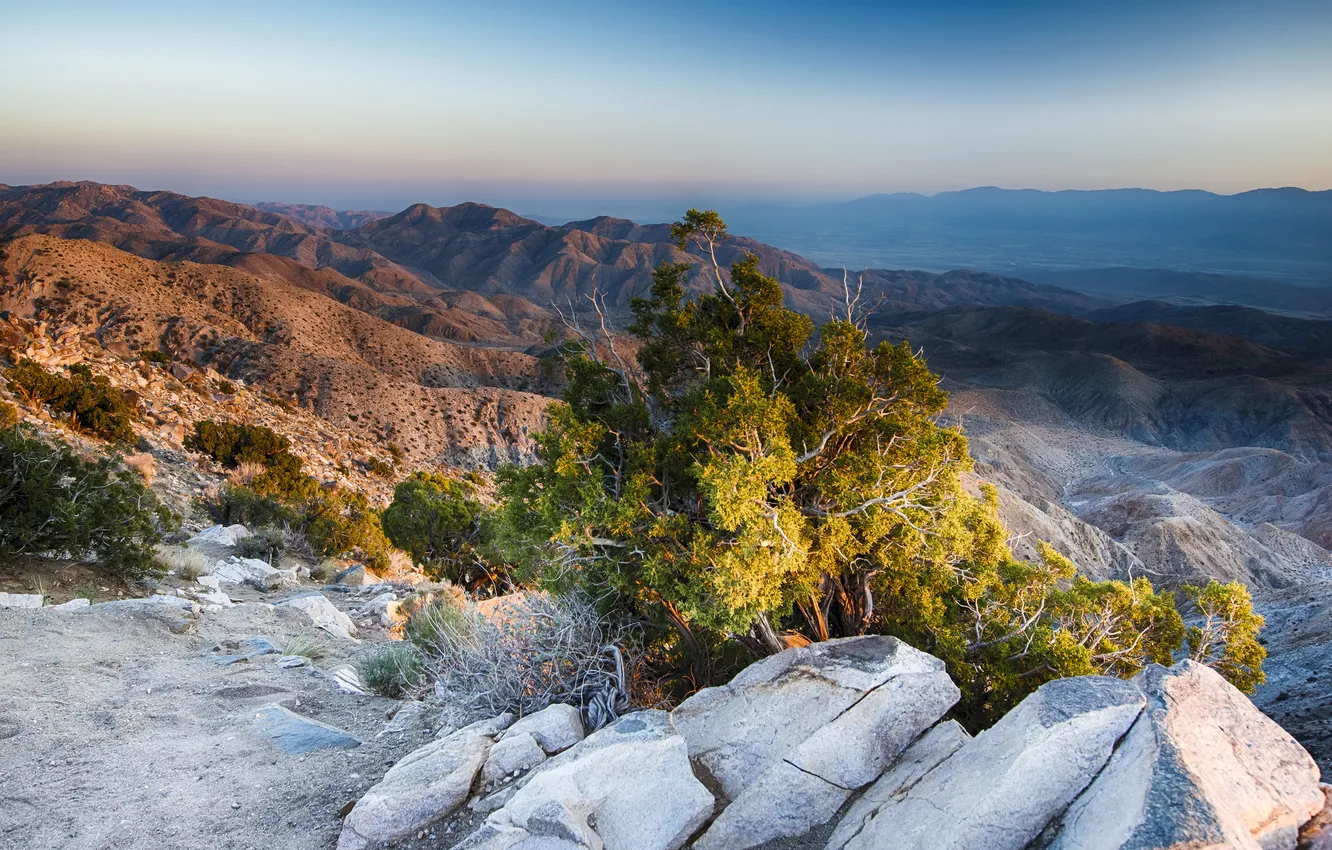 Photo wallpaper mountains, stones, desert, the bushes, California, Joshua Tree National Park, US., Coachella Valley