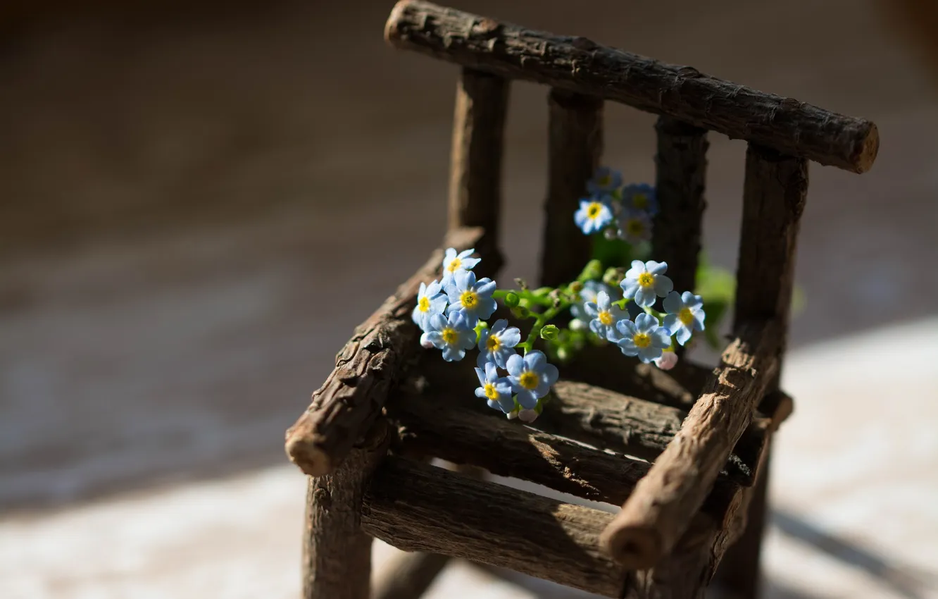 Photo wallpaper flowers, nature, background