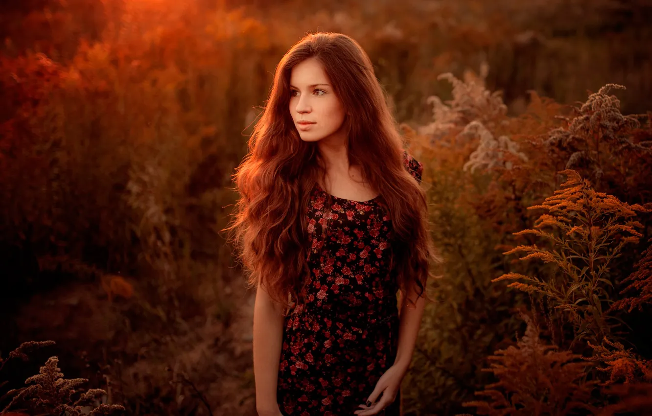 Photo wallpaper girl, sunset, nature, brown-eyed