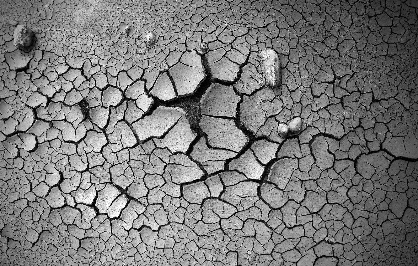 Photo wallpaper surface, cracked, earth