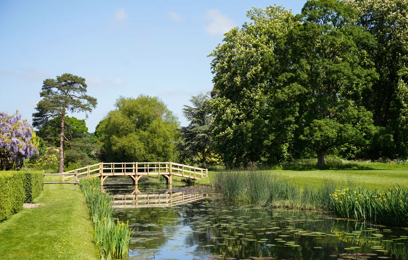Photo wallpaper summer, trees, pond, Park, the bridge