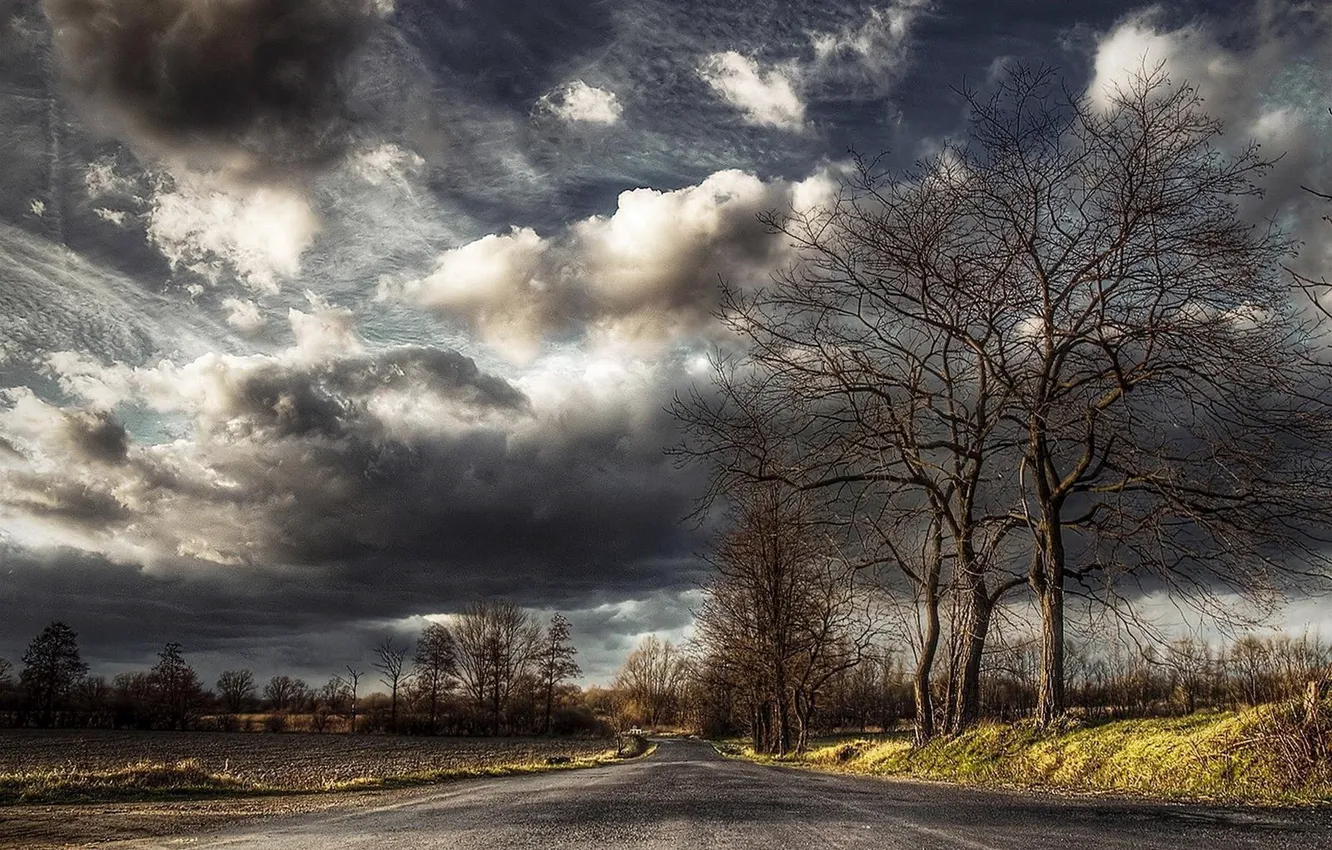 Photo wallpaper road, autumn, trees, landscape, nature, photo