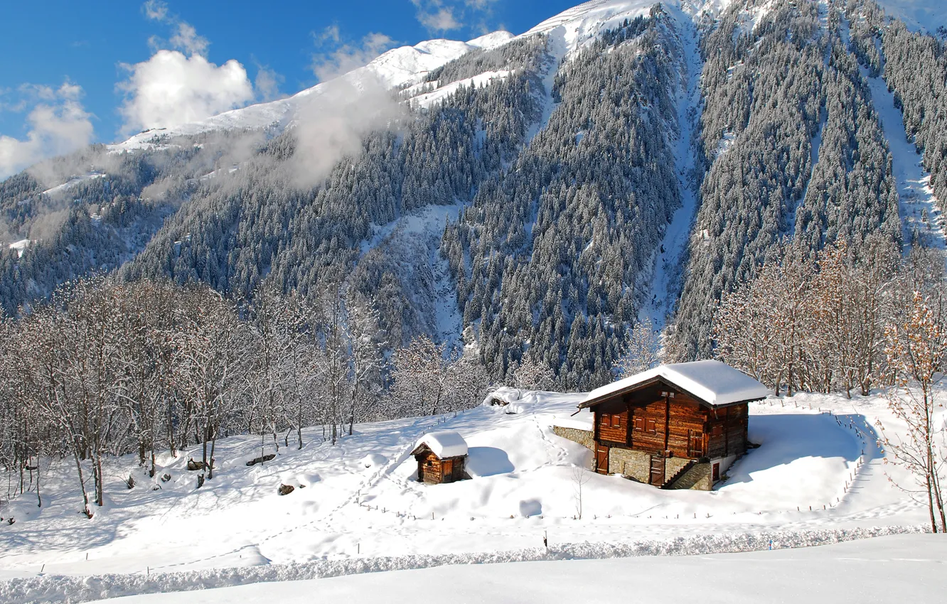 Photo wallpaper winter, forest, the sky, clouds, snow, trees, landscape, mountains