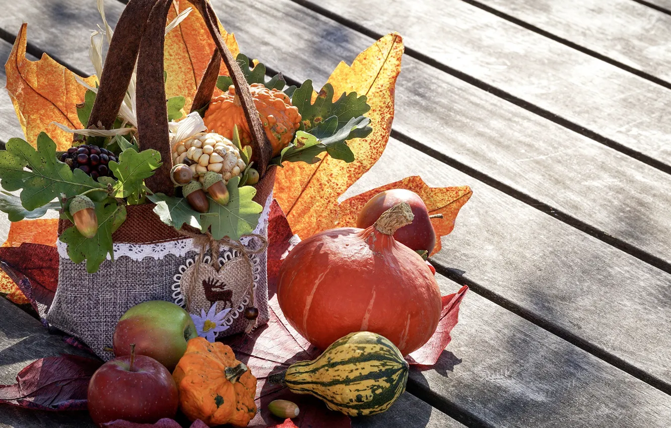Photo wallpaper autumn, leaves, apples, pumpkin, acorns
