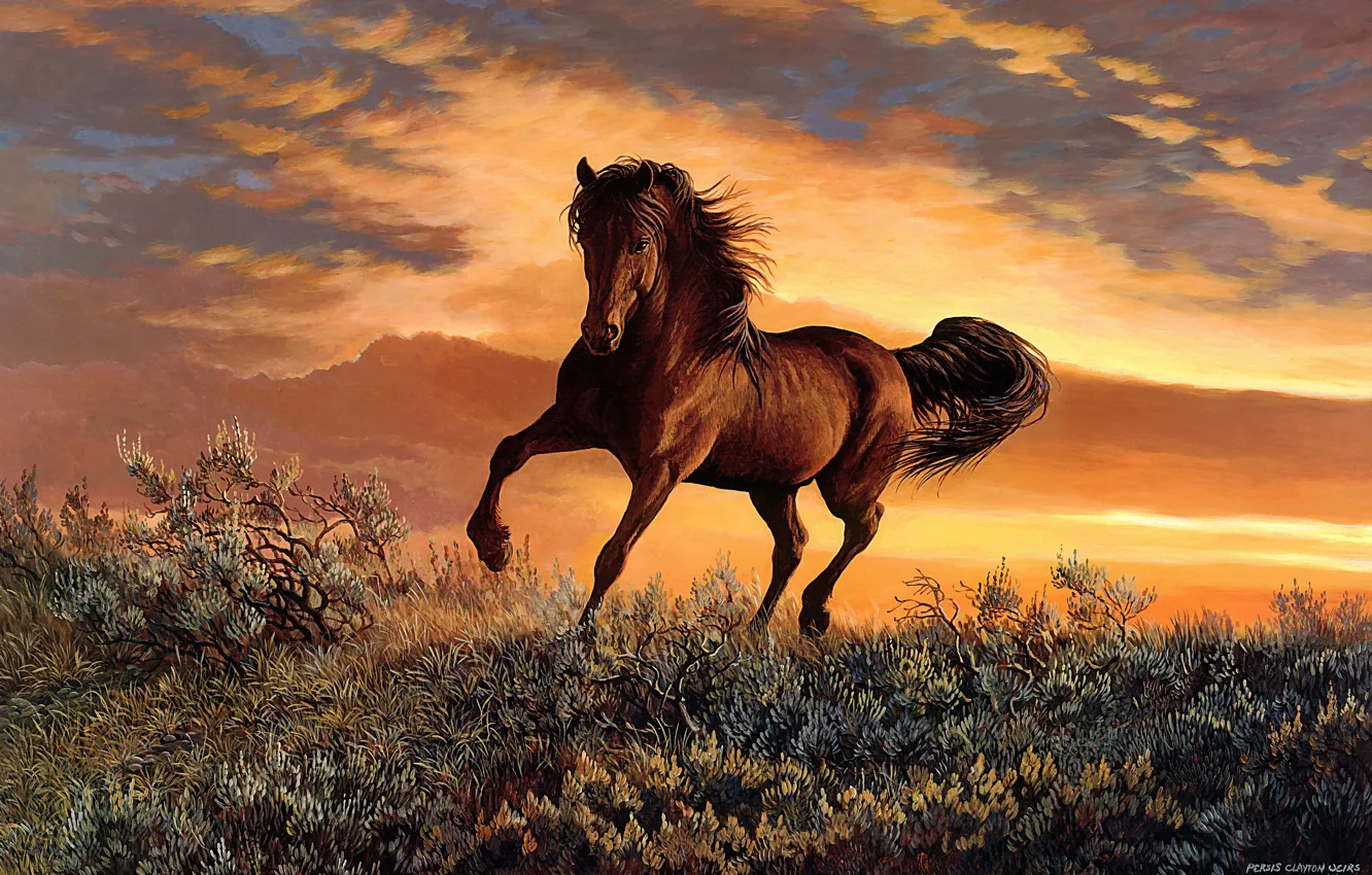 Photo wallpaper field, the sky, clouds, sunset, nature, pose, horse, vegetation