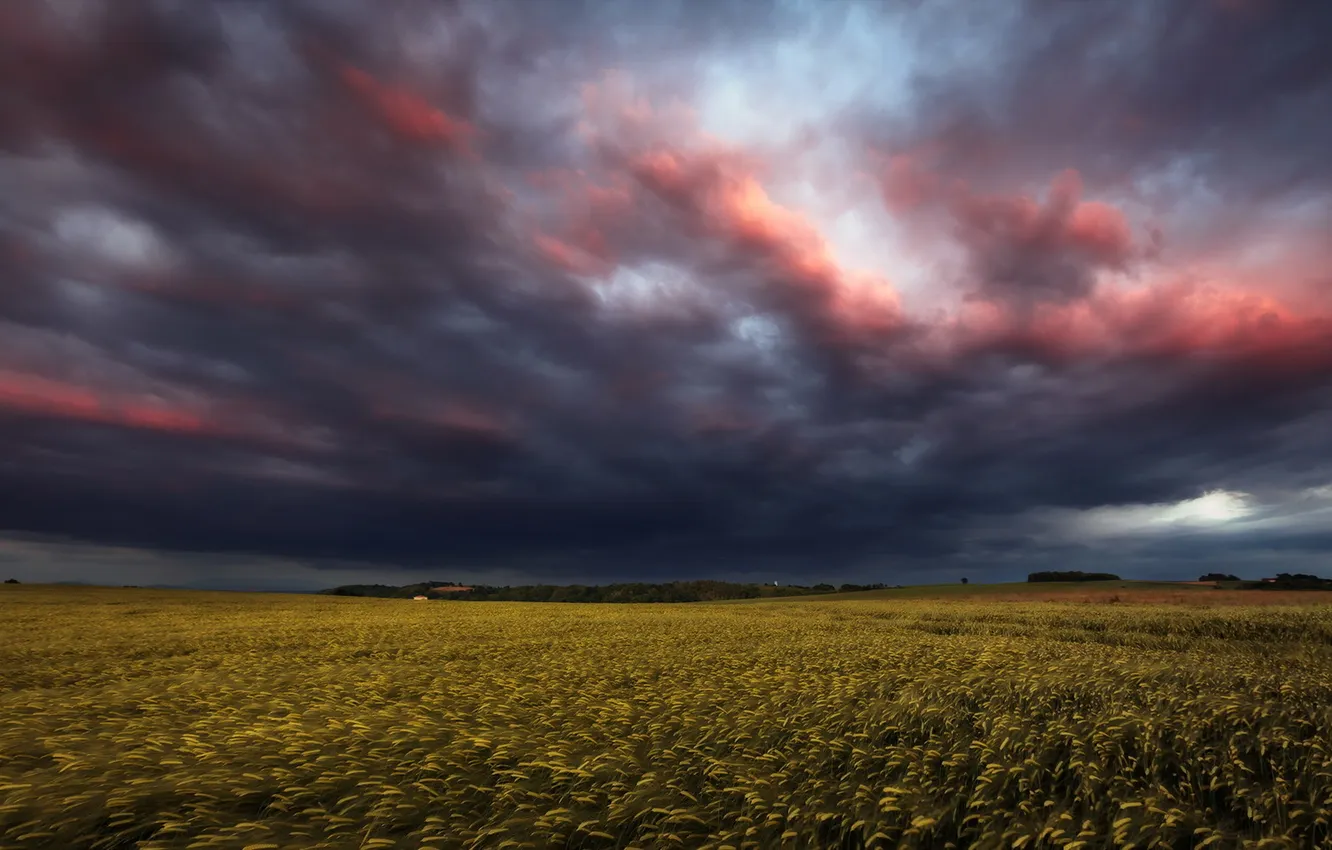 Photo wallpaper field, the sky, nature