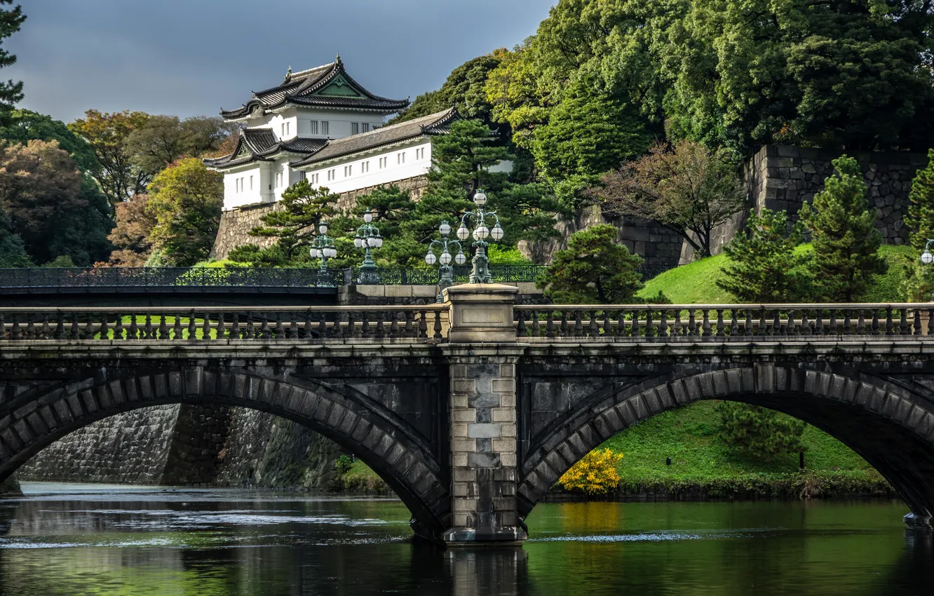 Photo wallpaper trees, bridge, river, Japan, Tokyo, lights, the bushes, Palace