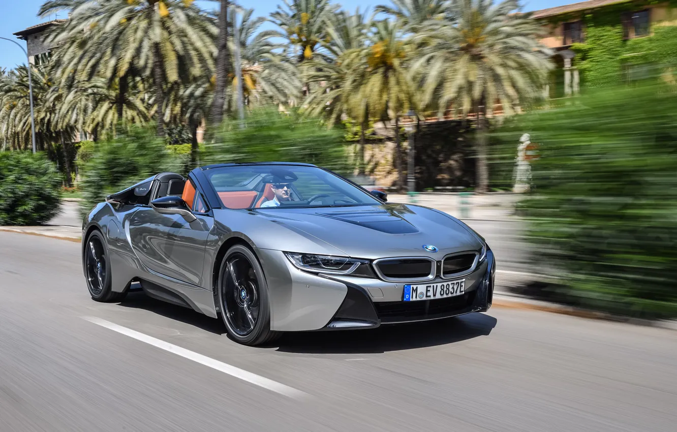 Photo wallpaper road, grey, movement, markup, vegetation, BMW, Roadster, hybrid