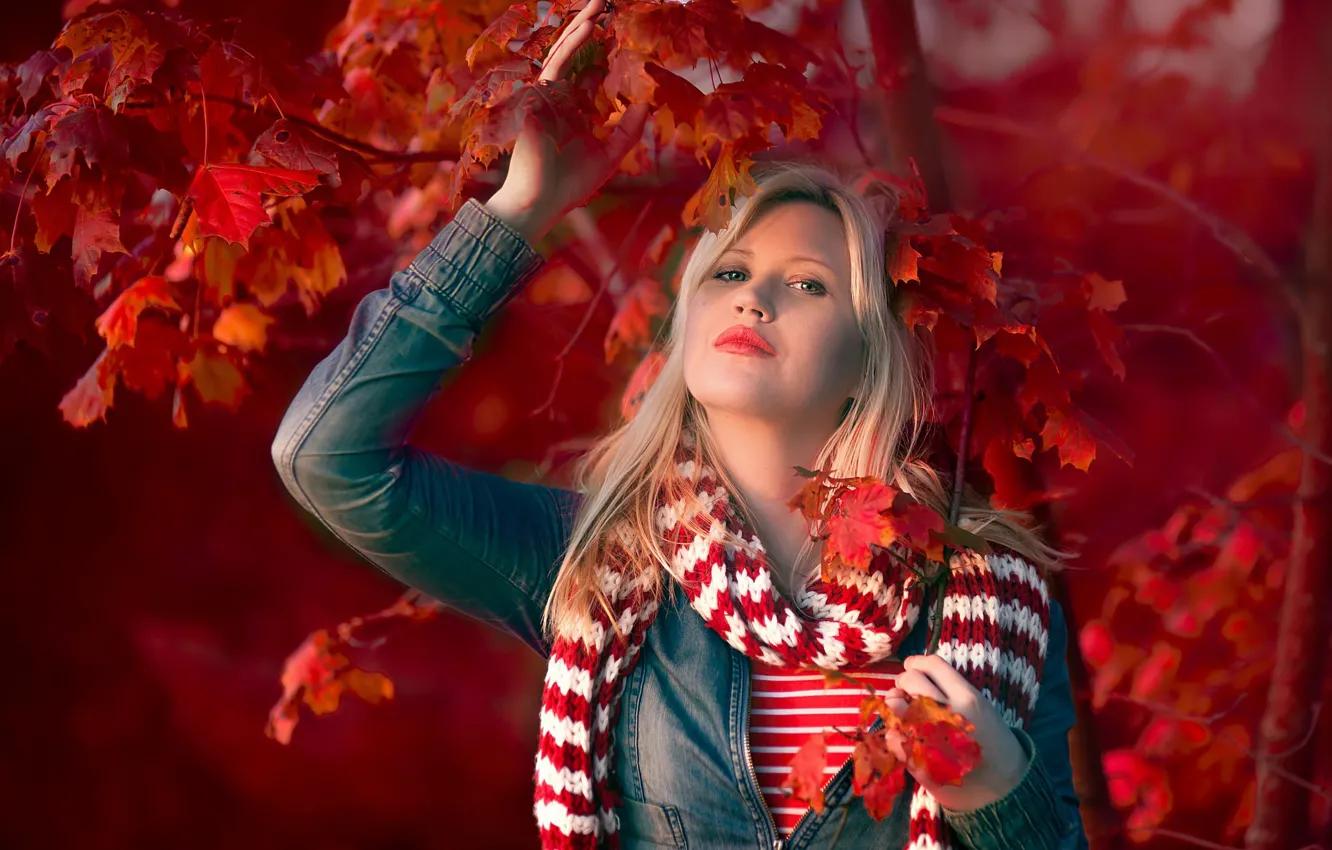 Photo wallpaper autumn, leaves, girl, branches, blonde, bokeh