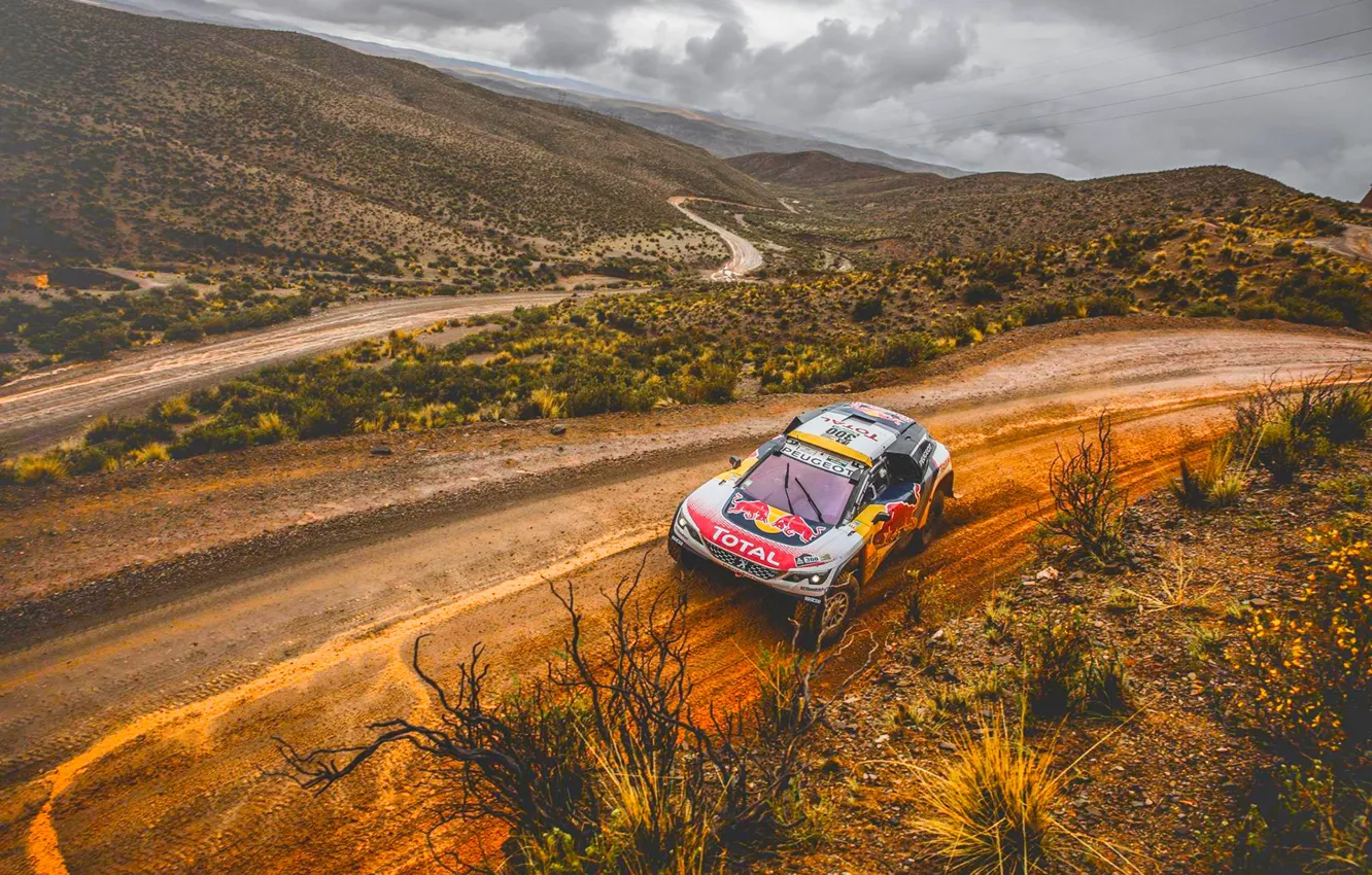 Photo wallpaper Sand, Sport, Speed, Race, Dirt, Peugeot, Lights, Red Bull